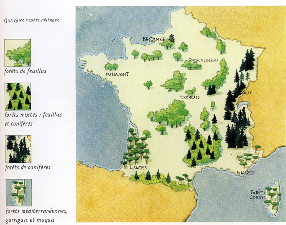 carte foret française | Les secrets de la forêt